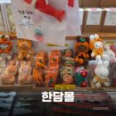 더몽상드 | 애월카페거리 소품샵 추천 한담몰 다양한 기념품 + 그분이 오신집 후기