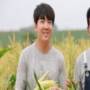 해남농장 이미지