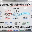 현승한의원 이미지