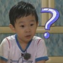 제주 한라봉 귤따기 체험 실내 귤빛정원 솔직후기