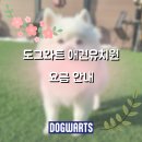 도그와트 이미지