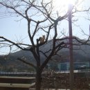 소풍전날