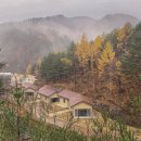 금강송에코리움(찜질방) 이미지