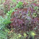 용성농장 이미지