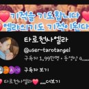 타로 심리상당 이미지