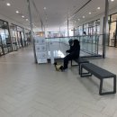 라코스테현대