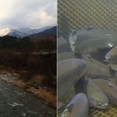 내린천 자연세상 이미지