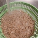 솔이네국수집 이미지