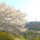 속리산아트힐링센터 이미지