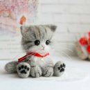 멋진 고양이 이미지