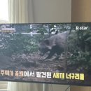 애예은농장 네이버블로그