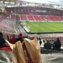 홈버프 | 독일 분데스리가 슈투트가르트 vs 마인츠 직관 후기 / 마인츠 원정경기