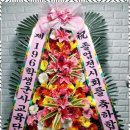 로드로즈