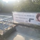 경성발관리 이미지