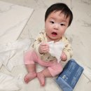 더착한클린인 | 맘가이드 클린등급! 리뉴얼 출시된 베베숲 시그니처 블루 물티슈 아기물티슈 후기