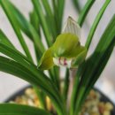 야로파출소 이미지