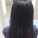 에비뉴1661 이미지