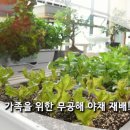 화분들닷컴 - 영도구 샛별길 97 | 화분들닷컴