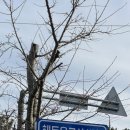 해동불교 | 새해첫날 부산 기장 해동용궁사 혼자, 오후 방문한 후기(2026.01.01목요일 방문)