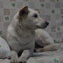 카페 빛나 이미지