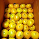 가온길하우스 이미지