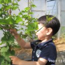 기훈농장 이미지