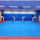 신정태권도장 이미지