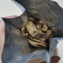 터치드바이뉴질랜드 이미지