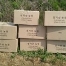 분천농장 이미지