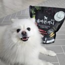 주식회사 알파사료 | [국개대표] 관절에 좋은 올바른끼니 a알파 강아지 사료 후기