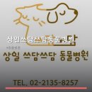 상일 쓰담쓰담 동물병원 | 상일쓰담쓰담동물병원 진료 과목 및 이용 안내