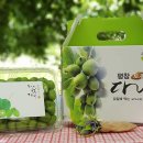 옐로우연화 이미지