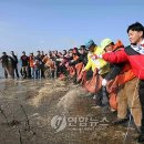 보리와철새 연합뉴스
