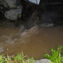 세례농장 이미지