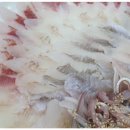 삼천포 회수산 이미지