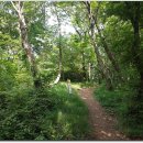 계룡산등산로(거제면) 이미지