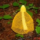 편백숲황토팬션 이미지