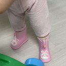 짹팥