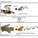 개구리 - 해운대구 세실로69번길 7 | 개구리