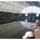 계룡 낚시터 이미지