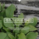 샐그린