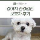 대학동물병원 - 안산시 상록구 예술광장1로 16 | 강아지 건강검진 보호자 후기 [대구동물병원건강검진/본동물건강검진센터]