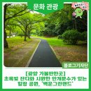 [광양 가볼만한곳] 초록빛 잔디와 시원한 안개분수가 있는 힐링 공원, '백운그린랜드'