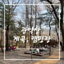관악산 계곡 캠핑장 이미지