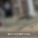 상덕농장 이미지