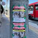현수산회도매&물회 | [대구/동구] 겨울철 대방어 맛집 혁신도시 술집 현수산 회 도매&물회