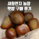 새희연지 | 온 가족 간식 : 새희연지 농장 2022년 햇밤 구매후기