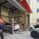 비비게러지 이미지