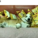 오!오
