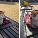 정문